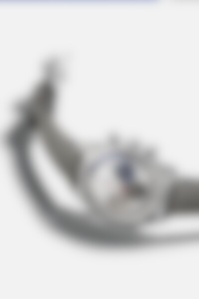 CHRONOMASTER旗舰系列Original腕表线上精品店特别版图片